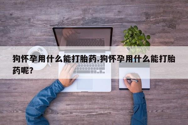 打胎药叫什么名字微信怎么购买狗怀孕用什么能打胎药.狗怀孕用什么能打胎药呢？