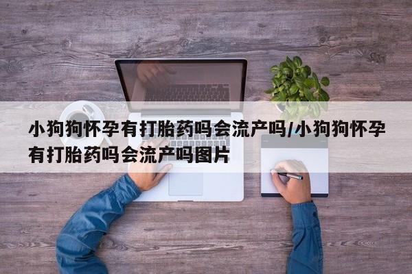 打胎药叫什么名字微信怎么购买小狗狗怀孕有打胎药吗会流产吗/小狗狗怀孕有打胎药吗会流产吗图片