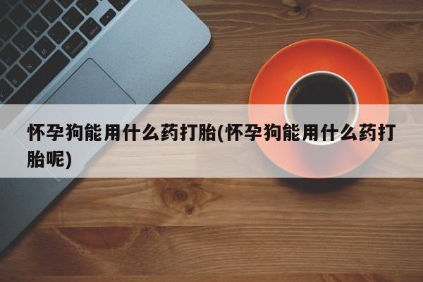 打胎药叫什么名字微信怎么购买怀孕狗能用什么药打胎(怀孕狗能用什么药打胎呢)